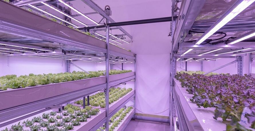 Kaly, Czech Republic