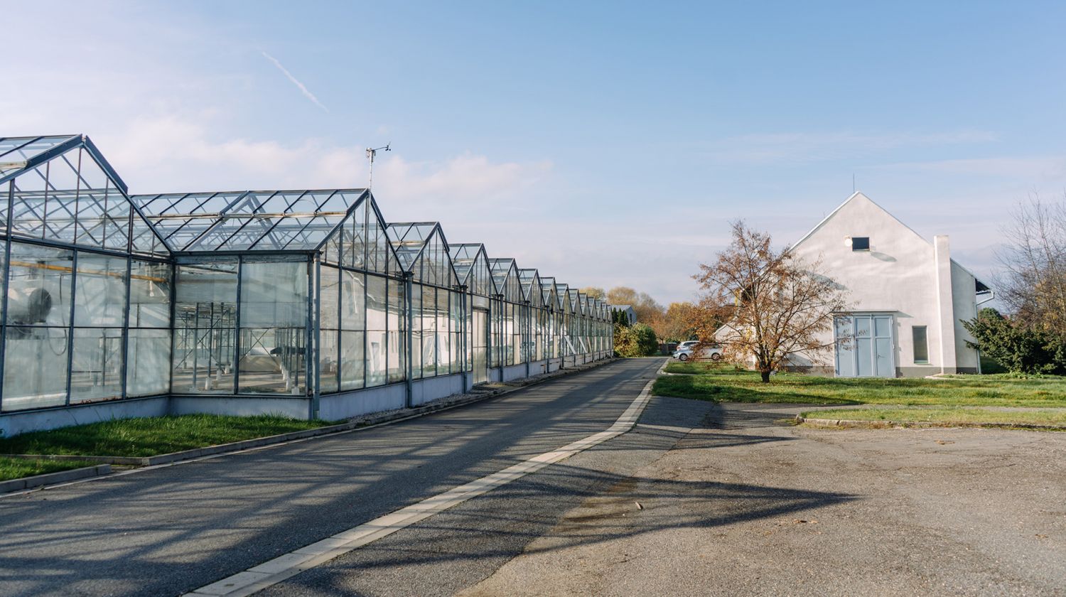 Future Farming is going to build another aquaponic farm in Přerov nad Labem