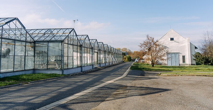 Přerov nad Labem, Czech Republic