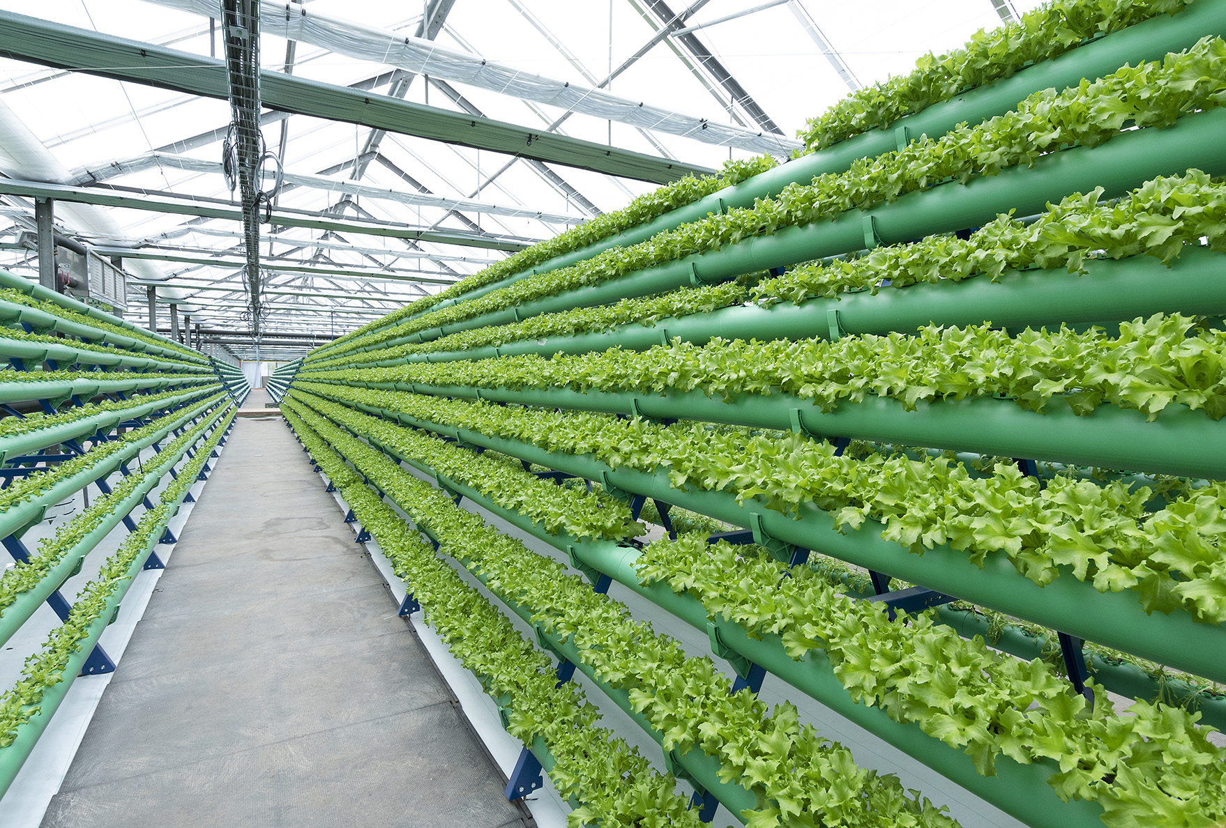 What is aquaponics and how does it work?